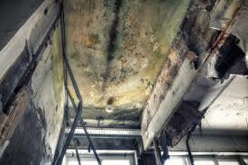 Best Post-Construction Mold Inspection in Morris, OK